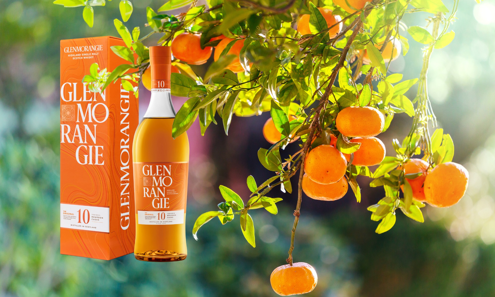 Why Glenmorangie The Original Is The Ultimate Winter 'Getaway' | Toast