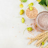 How Low-Alc and Low-Carb Beer is Made 