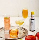 Bitters Basics
