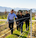 Wine News: Brancott Estate Sailing High with Emirates Team New Zealand