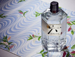 Get Ready For Japanese Gin