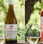 Perfect Wines For Summer