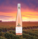 NEW Wine To Try: Giesen Estate Riesling Blush
