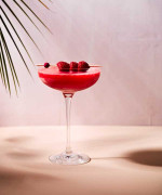 Frozen Raspberry and Elderflower Margarita